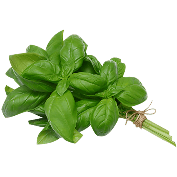 Basil Leaves image