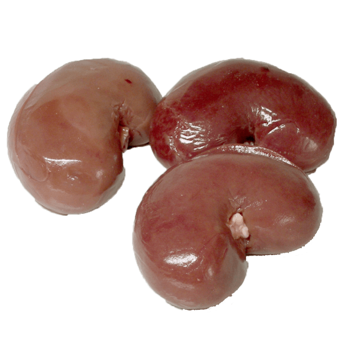 Beef Kidney image
