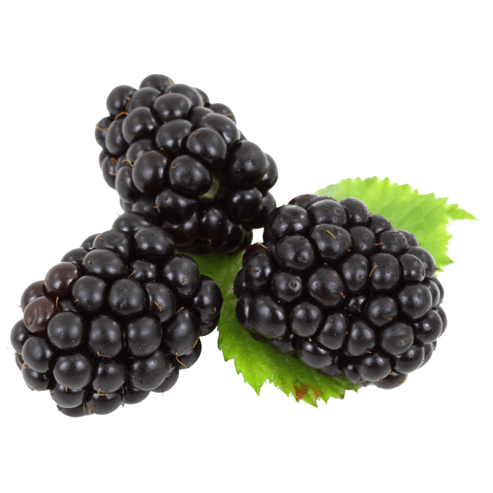 Blackberries image