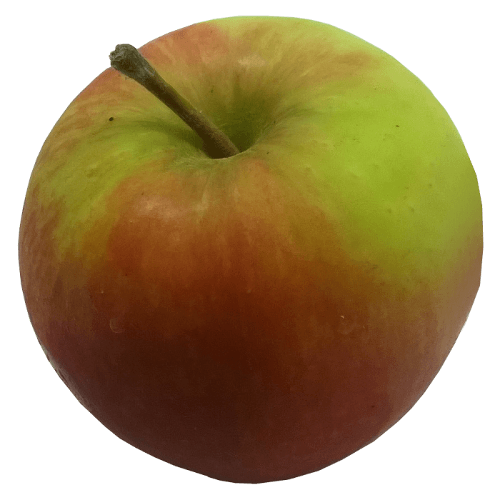 Bramley Apples image