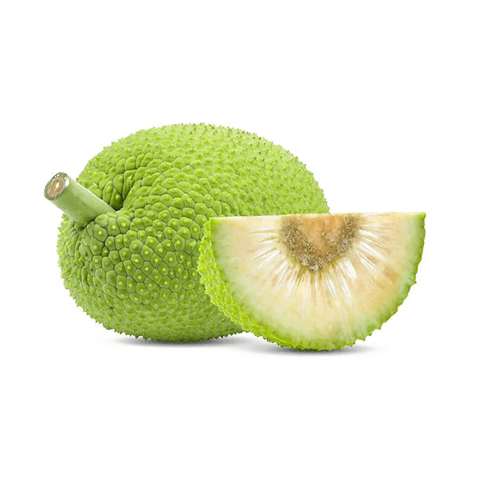 Breadfruit image