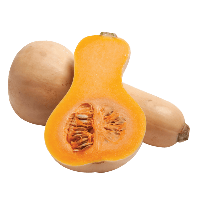 Butternut Squash image