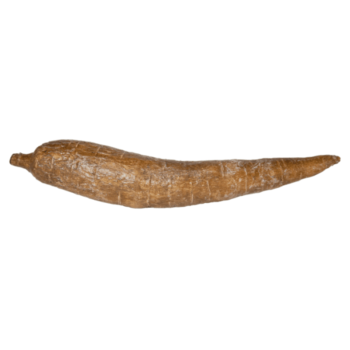 Cassaba image