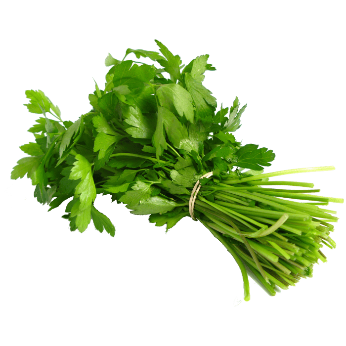Coriander Seeds image