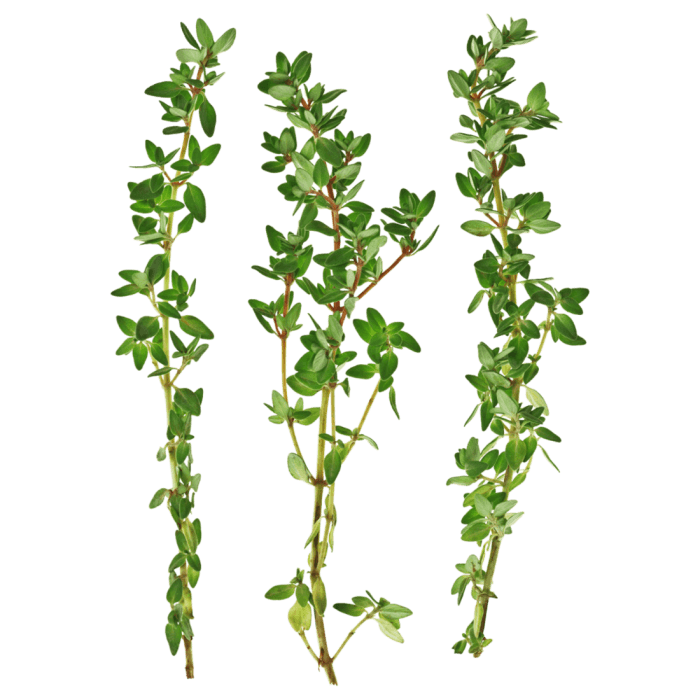 Fresh Thyme image