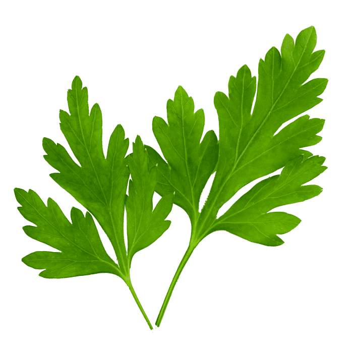 Freshly Chopped Parsley image