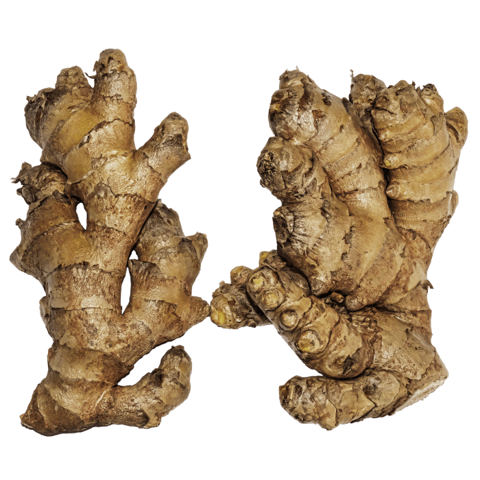 Galangal image