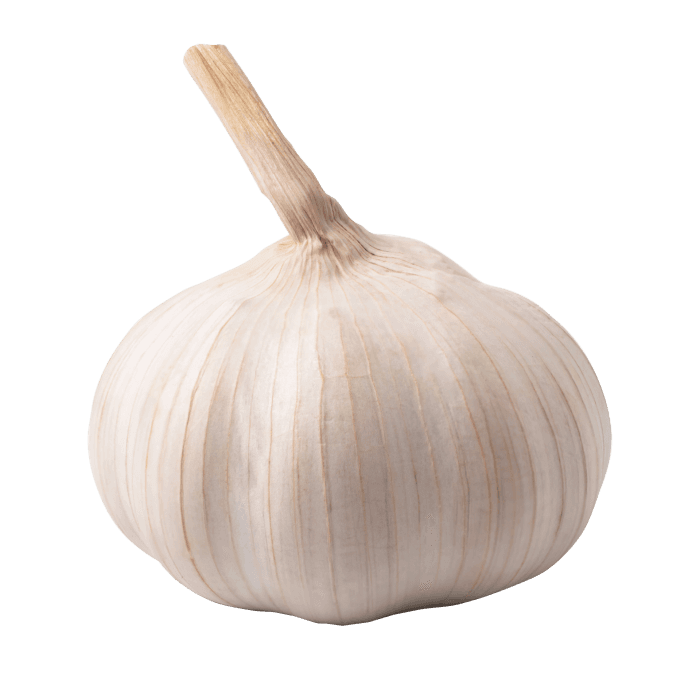 Garlic Bulb image