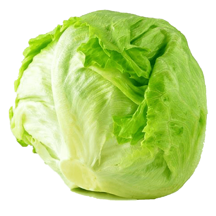 Iceberg Lettuce image