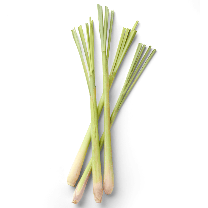 Lemongrass Stalks image