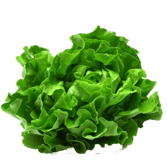 Lettuce image