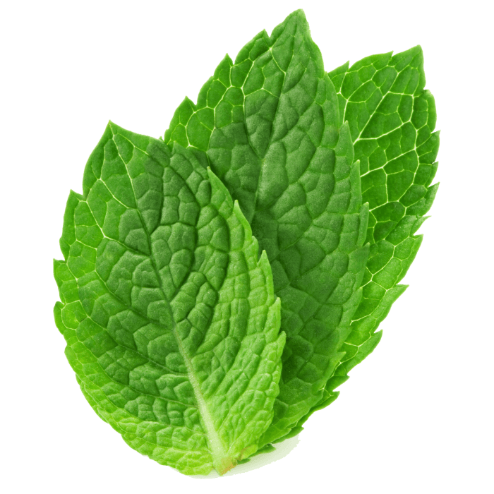 Mint image