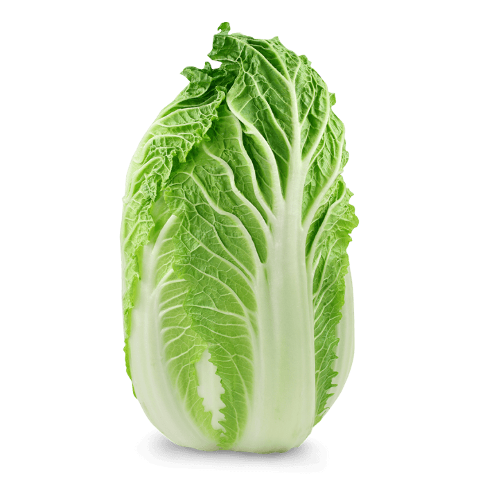 Napa Cabbage image