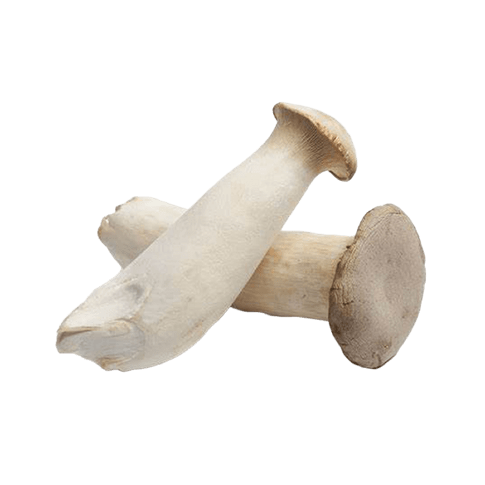 Oyster Mushrooms image