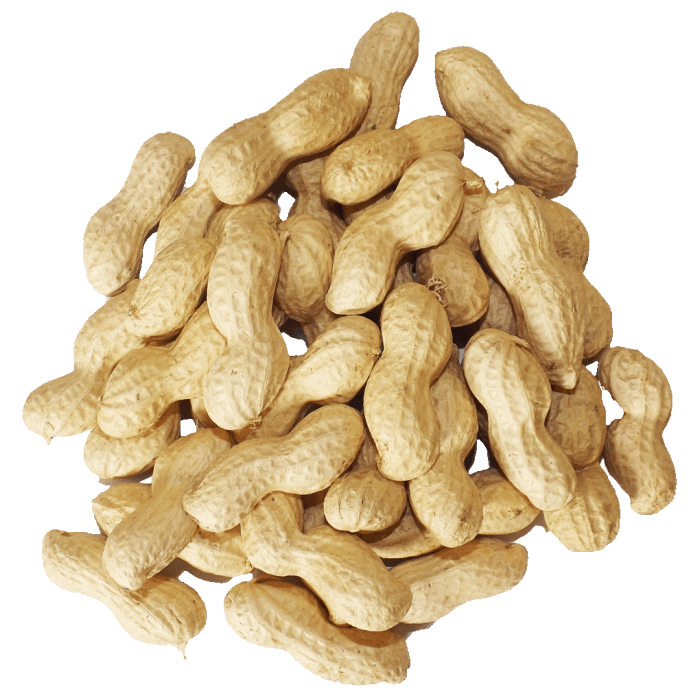 Peanuts image