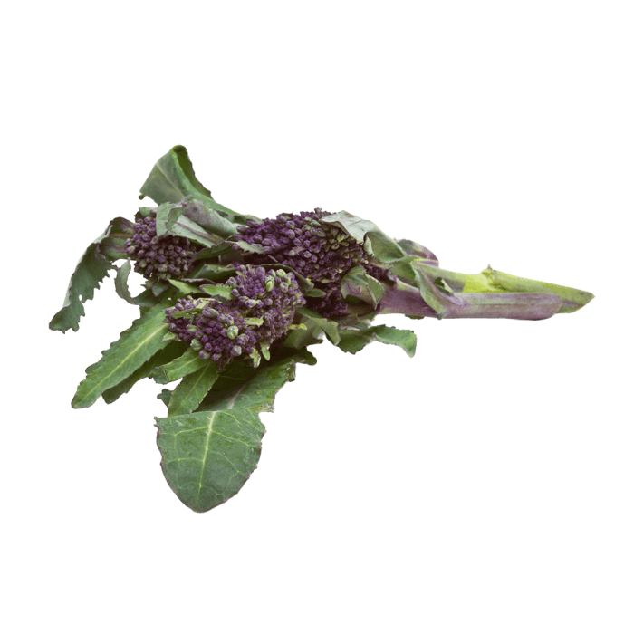 Purple Sprouting Broccoli image