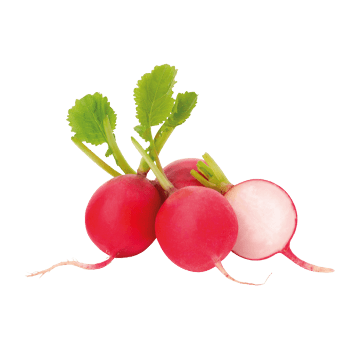 Radish image
