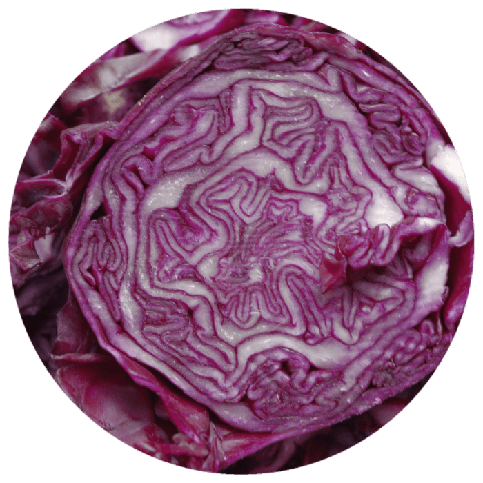 Red Cabbage image