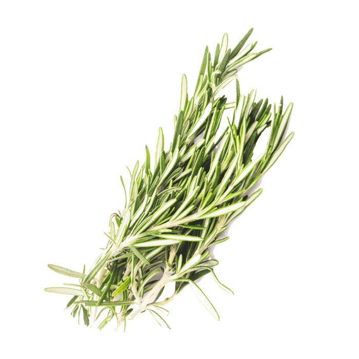 Rosemary image