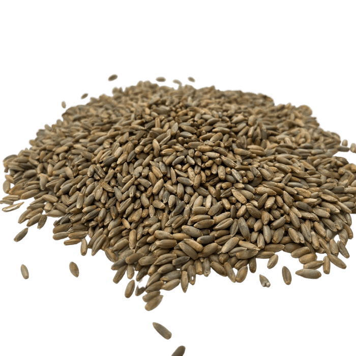 Rye image