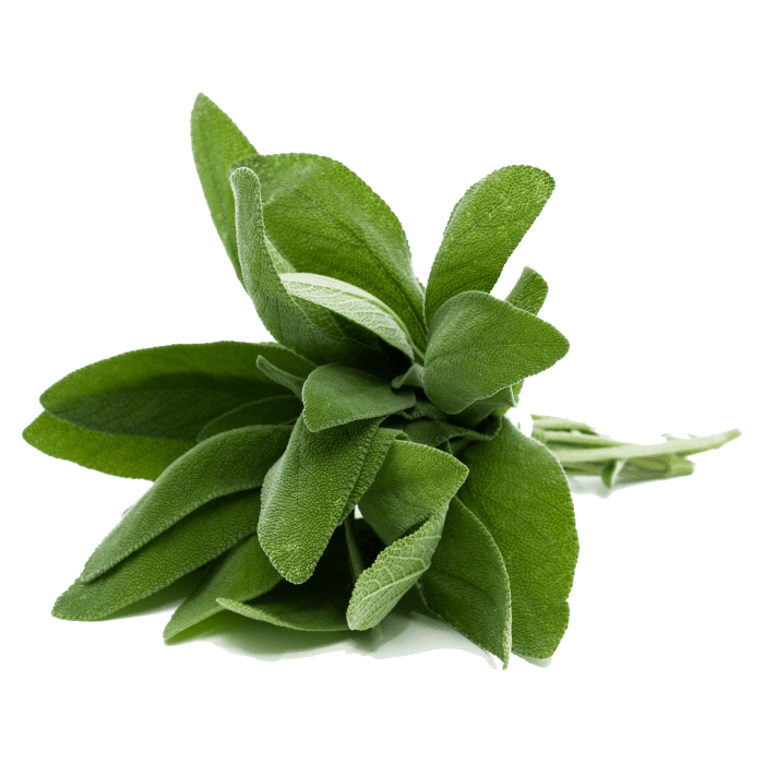 Sage image