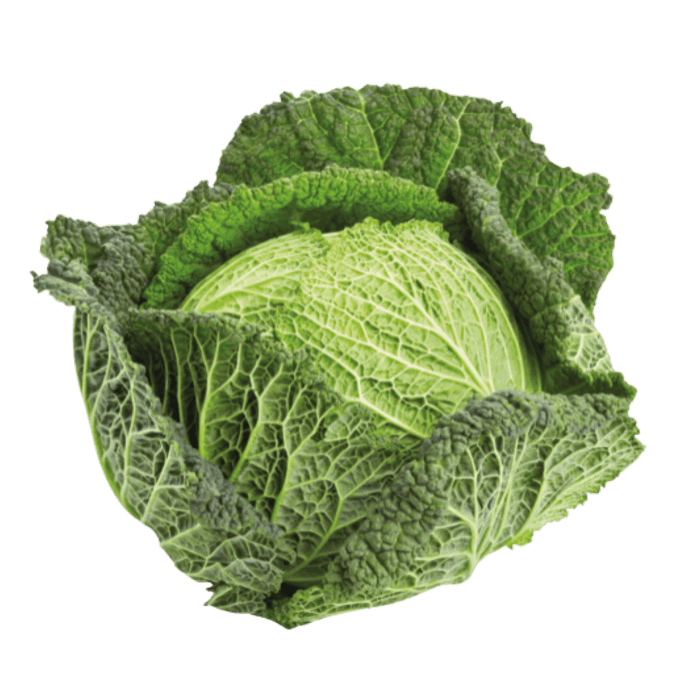 Savoy Cabbage image
