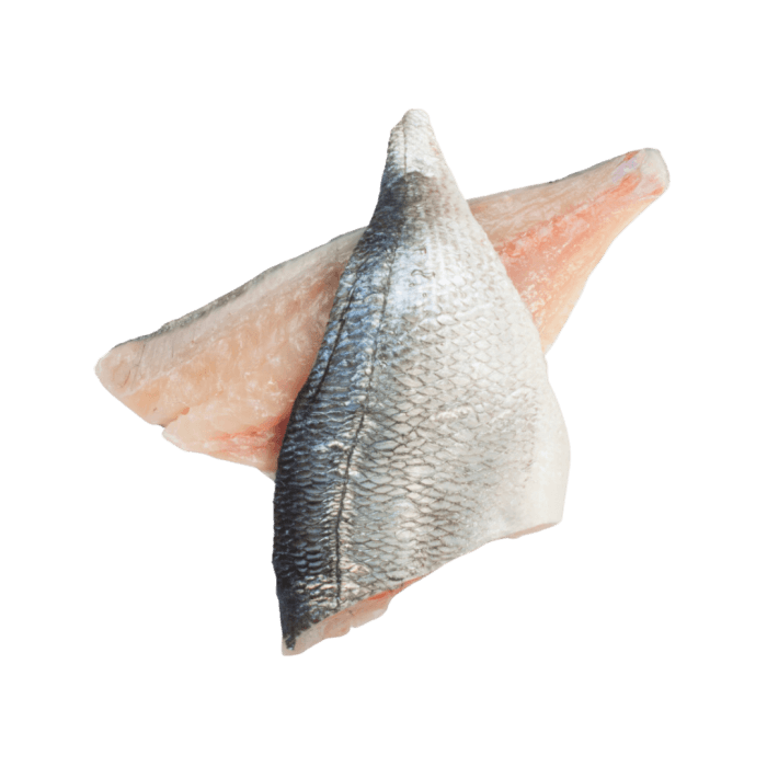 Sea Bass Fillets image