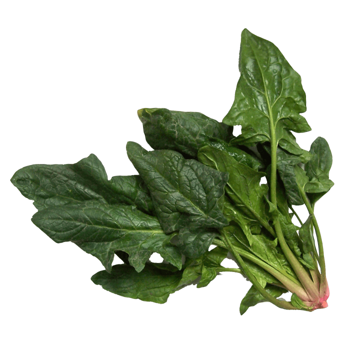 Spinach image