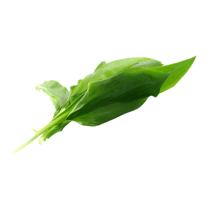 Wild Garlic Leaves image
