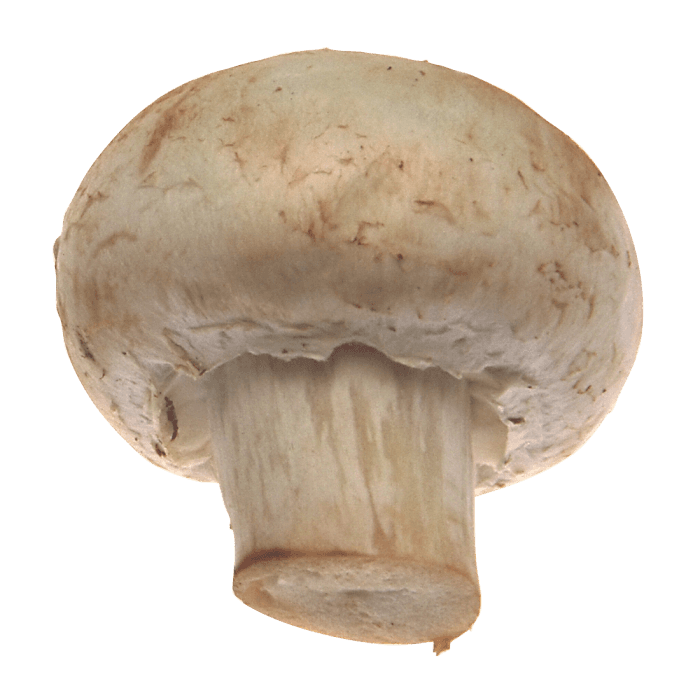 Wood Ear Mushrooms image