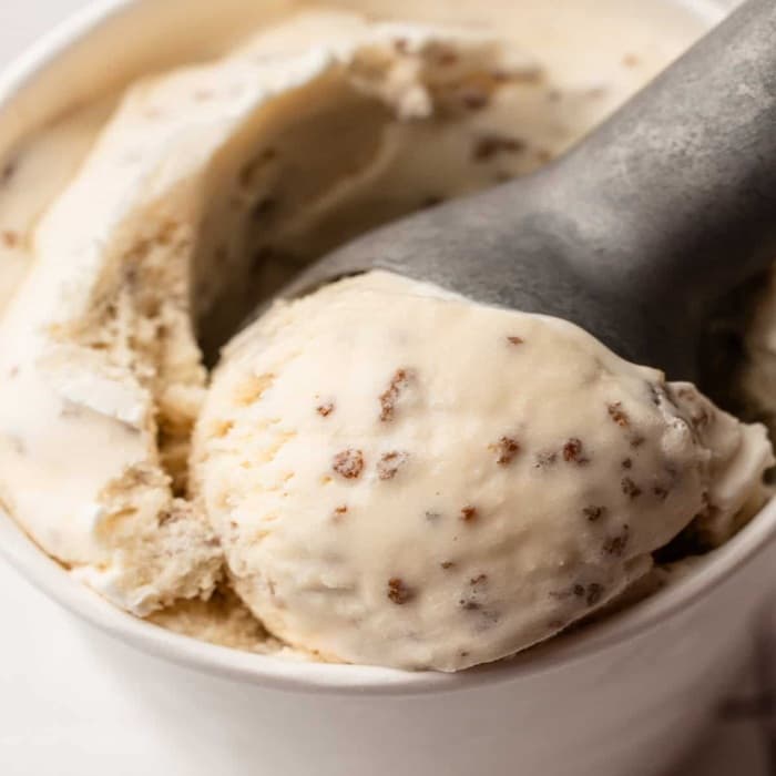 Grape Nut Ice Cream image
